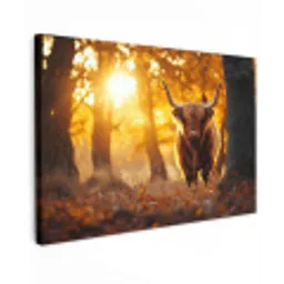 Schotse hooglander - Bos - Herfst - Dieren - Natuur - Bladeren Tuinposter op houten frame 2 cm dik klein -3d