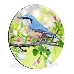 productfoto-tuincirkel.png
