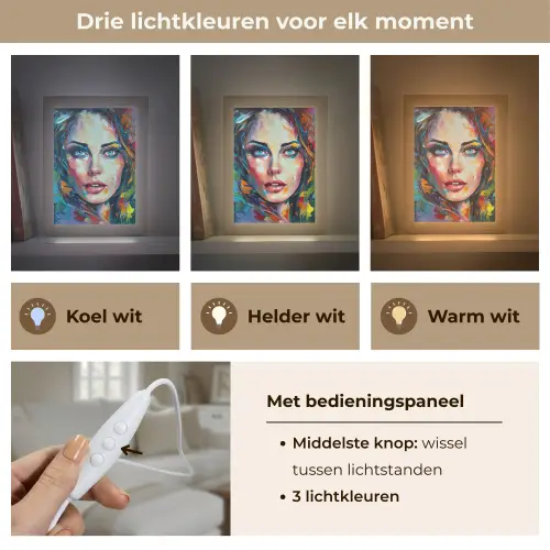 Gezicht - Vrouw - Olieverf - Kleurrijk - Kunst Light Box met kabel (Tafellamp) klein -USP_lichtkleurNL