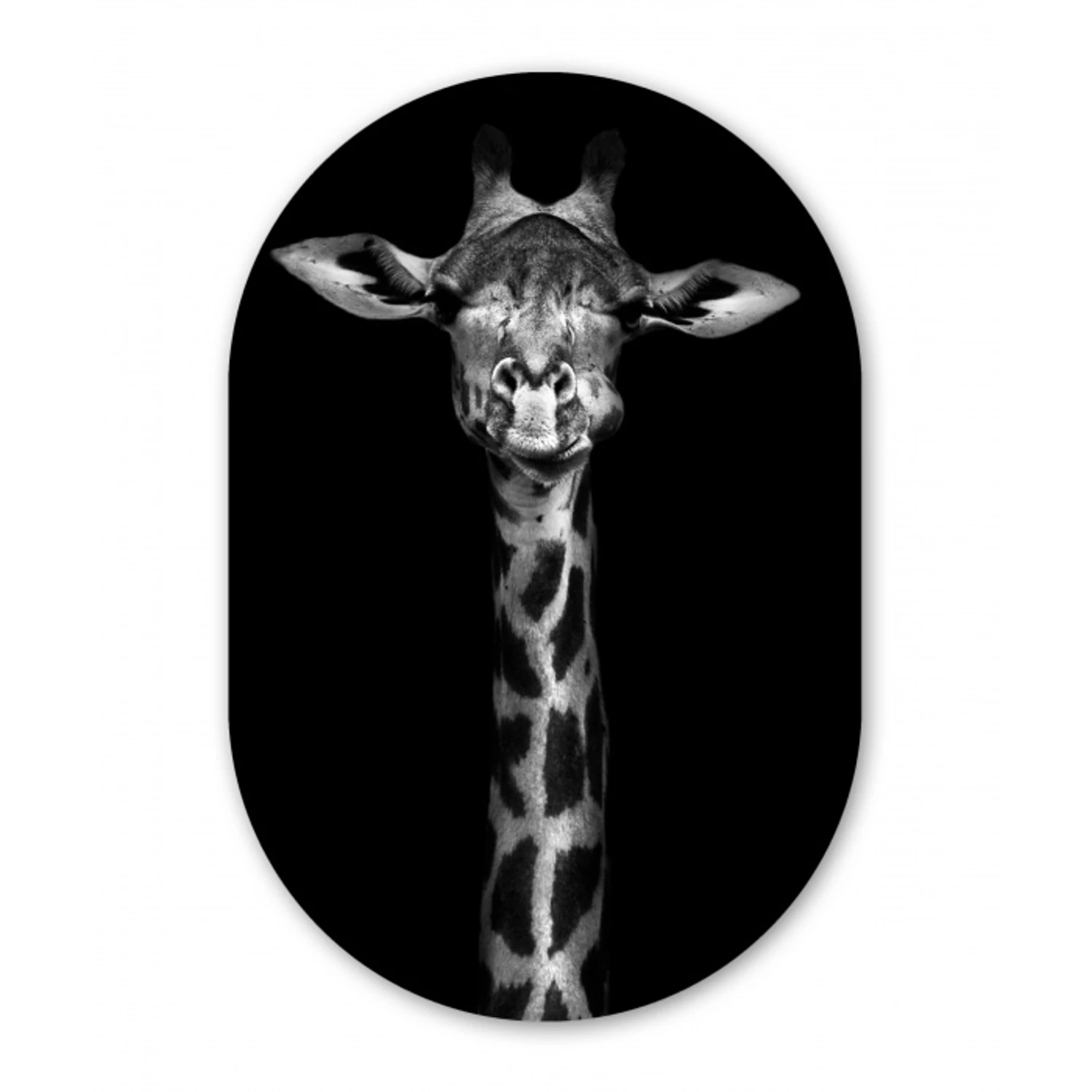 Giraffe - Portret - Dieren - Zwart - Wit Wandcirkel Ovaal Forex klein -3d