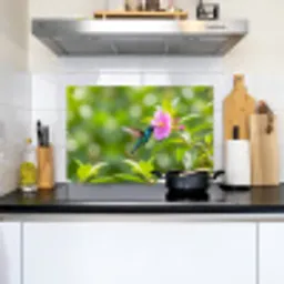 Kolibrie - Bloem - Natuur - Groen Inductie beschemer met haakjes klein -sfeer2