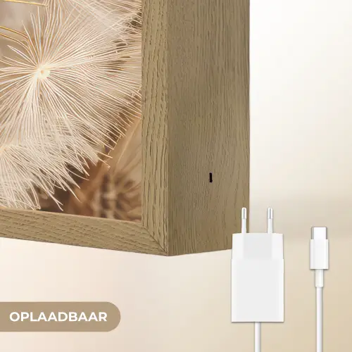 Paardenbloem - Bloemen - Natuur - Bruin Light Box met batterij (Wandlamp) middel -USP_websiteoplaadbaarNL