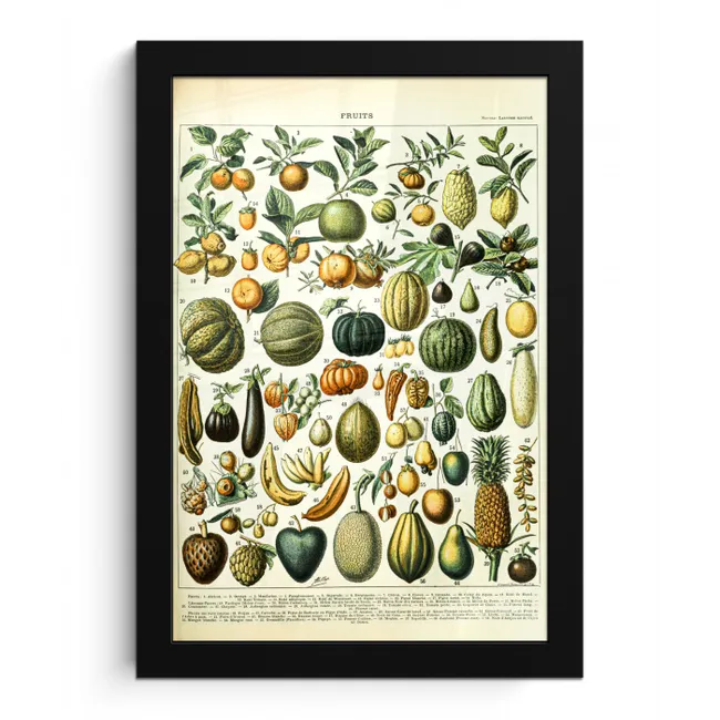 Fruit - Eten - Design - Vintage - Adolphe Millot fotolijst zwart zonder passe partout klein -3d