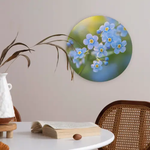 Bloemetjes - Blauw - Vergeet mij nietjes Akoestische PET Vilt - Rond klein -sfeer3
