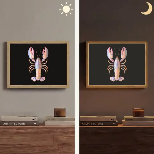 Kreeft - Roze - Zacht - Zwart Light Box met batterij (Wandlamp) middel -sfeer3