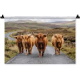 Schotse Hooglanders - Weg - Landschap - Kudde Wandkleed katoen klein -zz3d