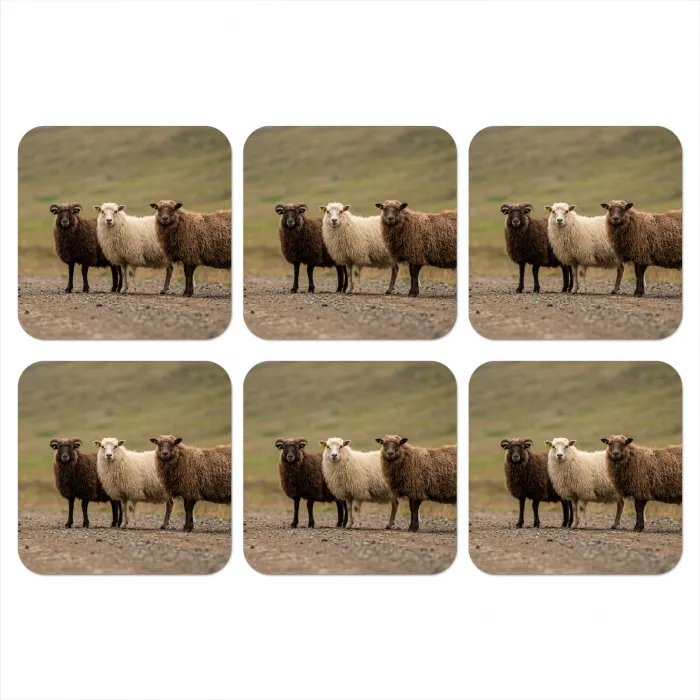 Schapen - Bruin - Wit - Grindpad onderzetter kurk middel -3d