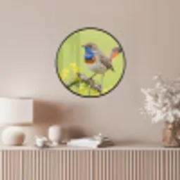 Vogel - Tak - Natuur - Kleurrijk Fotolijst rond zonder passe partout klein -sfeer3