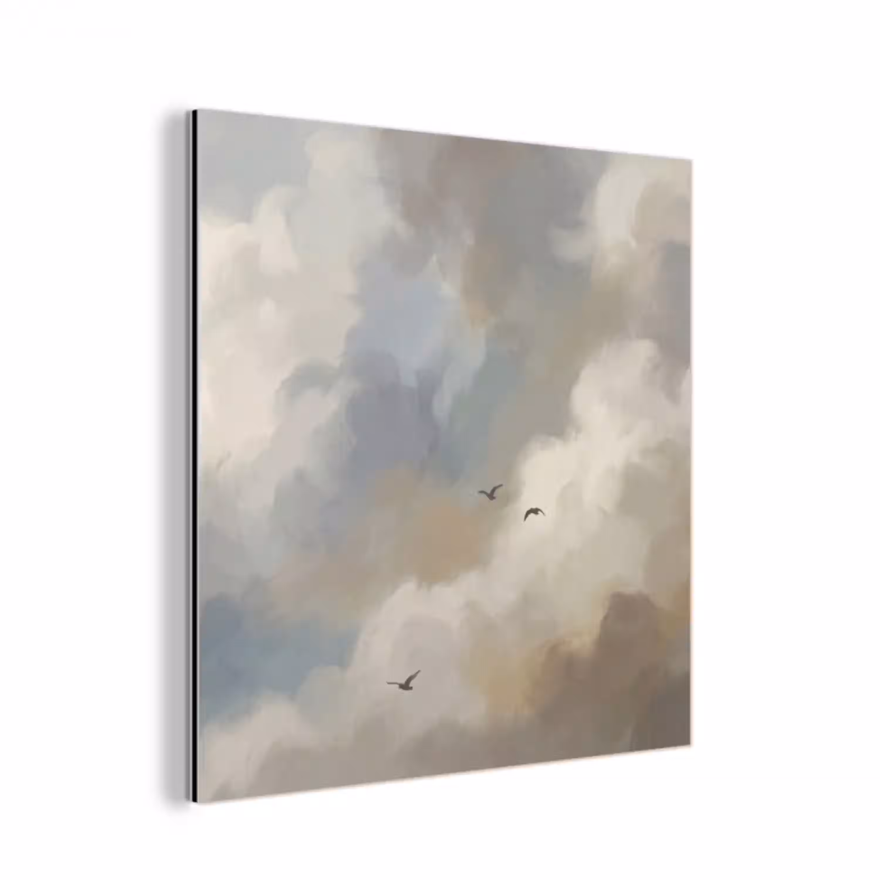 Vogel - Wolken - Natuur - Modern - Grijs aluminium wit klein -3d