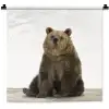 Bruine beer - Dieren - Beer - Schattig - Jongens - Meisjes Wandkleed katoen klein -zz3d
