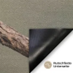 Papagaai - Tak - Natuur - Kleurrijk Deurmat klein -antislip_DE