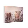 Schotse hooglanders - Licht - Lucht - Natuur forex 5mm xxl -3d