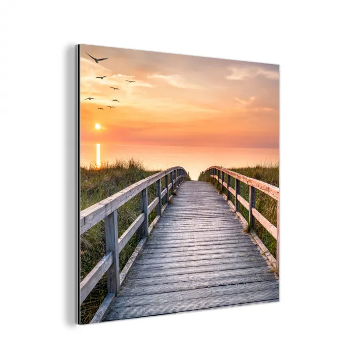 Zonsonderang - Zee - Pad - Gras - Duin - Vogels aluminium wit klein -3d