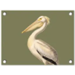 Pelikaan - Wit - Vogel - Klassiek - Natuur tuinposter los doek klein -3d