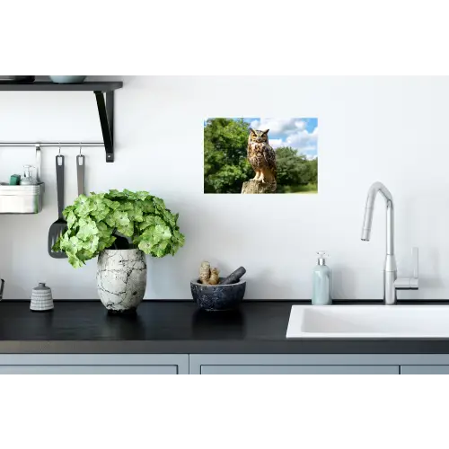 Uil - Boomstronk - Bos - Lucht Muursticker klein -keuken