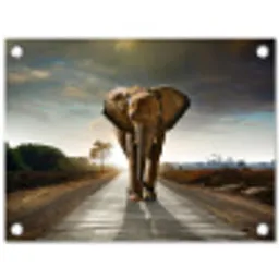 Olifant op een verlaten weg tuinposter los doek klein -3d