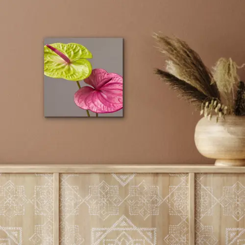 Planten - Anthurium - Groen - Roze aluminium wit klein -sfeer4