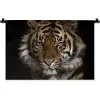 Tijger - Wilde dieren - Portret Wandkleed katoen klein -zz3d