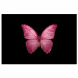 Vlinder - roze - Elegant poster papier klein -3d