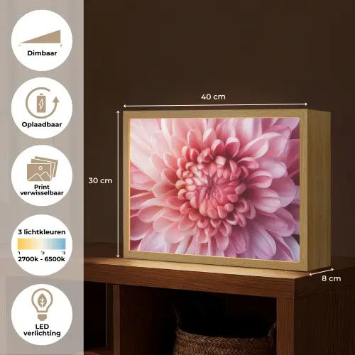 Dahlia - Bloem - Close up - Roze Light Box met batterij (Wandlamp) middel -USP_websiteoverzichtNL