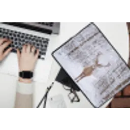 Hert - Winter - Bos - Natuur - Wit laptophoes neopreen klein -bureau