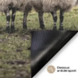 Schapen - Rij - Weide - Dieren - Platteland Deurmat klein -antislip_FR