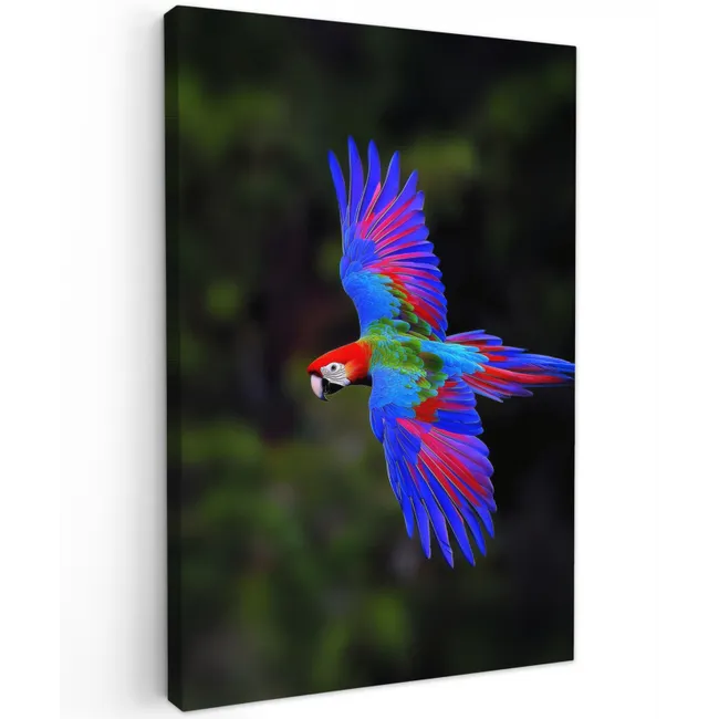 Felgekleurd - Papegaai - Bos - Vleugels Tuinposter op houten frame 2 cm dik klein -3d
