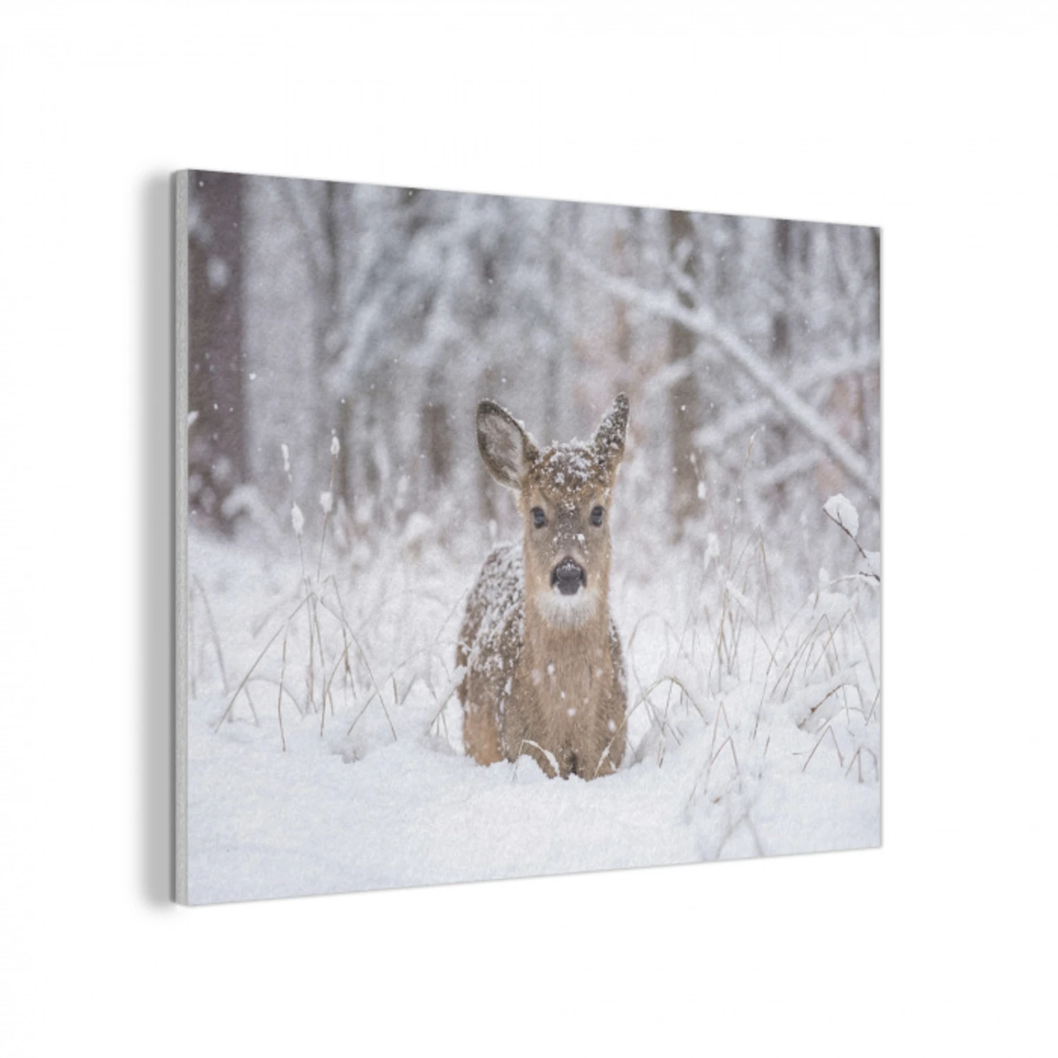 Hert - Sneeuw - Bos - Dieren - Vertederend PET vilt klein -3d