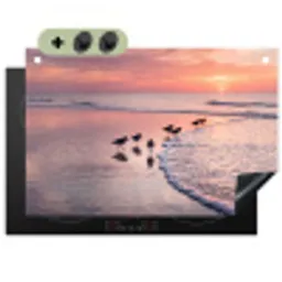 Meeuwen - Strand - Zee - Roze Inductie beschemer met haakjes klein -3d