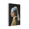 Meisje met de parel - Johannes Vermeer - Bril aluminium wit klein -3d