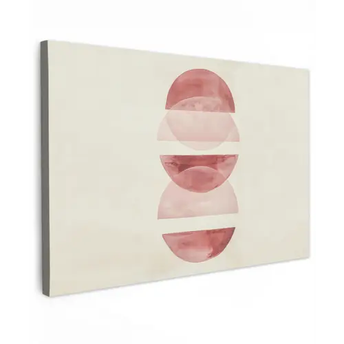 Minimalistisch - Cirkels - Roze Tuinposter op houten frame 2 cm dik klein -3d