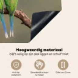 Papagaai - Tak - Natuur - Kleurrijk Inductie beschemer met haakjes klein -ky-onderkant-nl