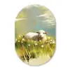 Schaap - Weide - Groen Wandcirkel Ovaal Glas middel -3d