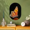 Vlinder - Bloemen - Insect - Portret - Zwart - Oranje Wandcirkel Ovaal Forex klein -sfeer2