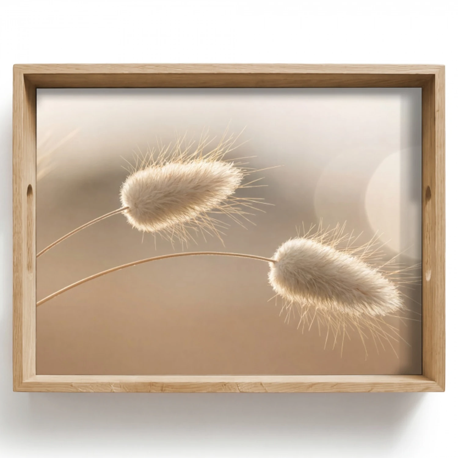 Hazestaartgras - Graanharen - Zonlicht Dienblad Rechthoek middel -z3d_shopping