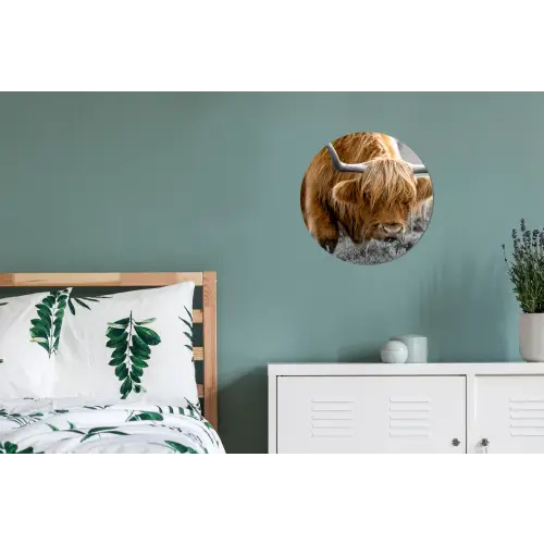 Schotse Hooglander - Dieren - Bruin - Koe - Zwart - Wit - Natuur Wandcirkel aluminium klein -slaapkamer