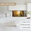 Bos - Herfst - Zon - Landschap - Natuur - Bomen - Bladeren keuken achterwand 2 middel -sfeer4_NL