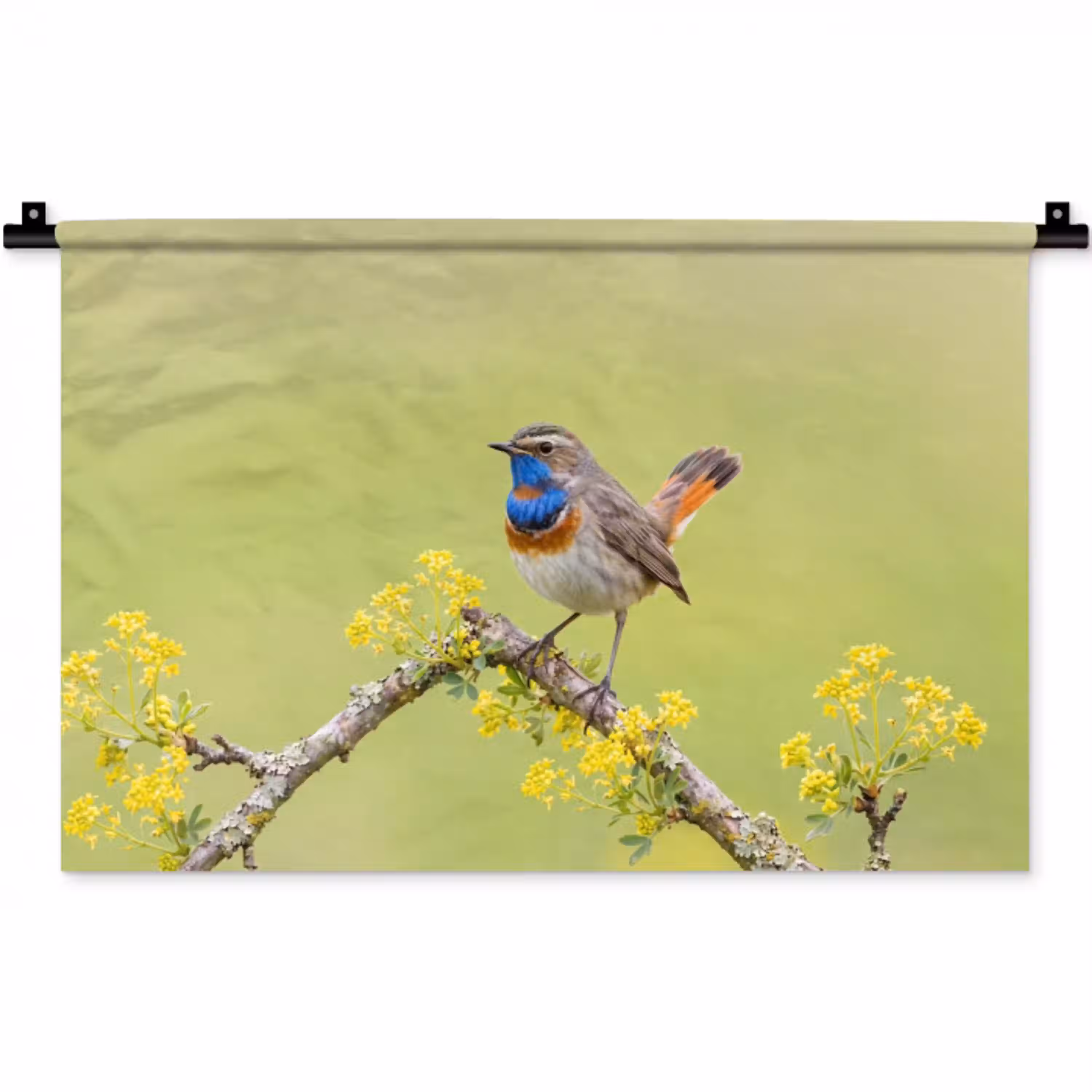 Vogel - Tak - Natuur - Kleurrijk Wandkleed katoen klein -zz3d