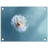 Paardenbloem - Wind - Blauw tuinposter los doek klein -3d