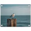 Meeuw - Paal - Zee tuinposter los doek klein -3d