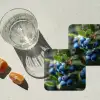 Blauwe bessen - Dauwdruppels - Natuurlijk licht onderzetter kurk middel -sfeer4