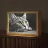 Kat - Zwart - Wit - Dieren - Natuur Light Box met kabel (Tafellamp) klein -z3d_website