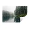Bergen - Meer - Bos Muursticker klein -3d