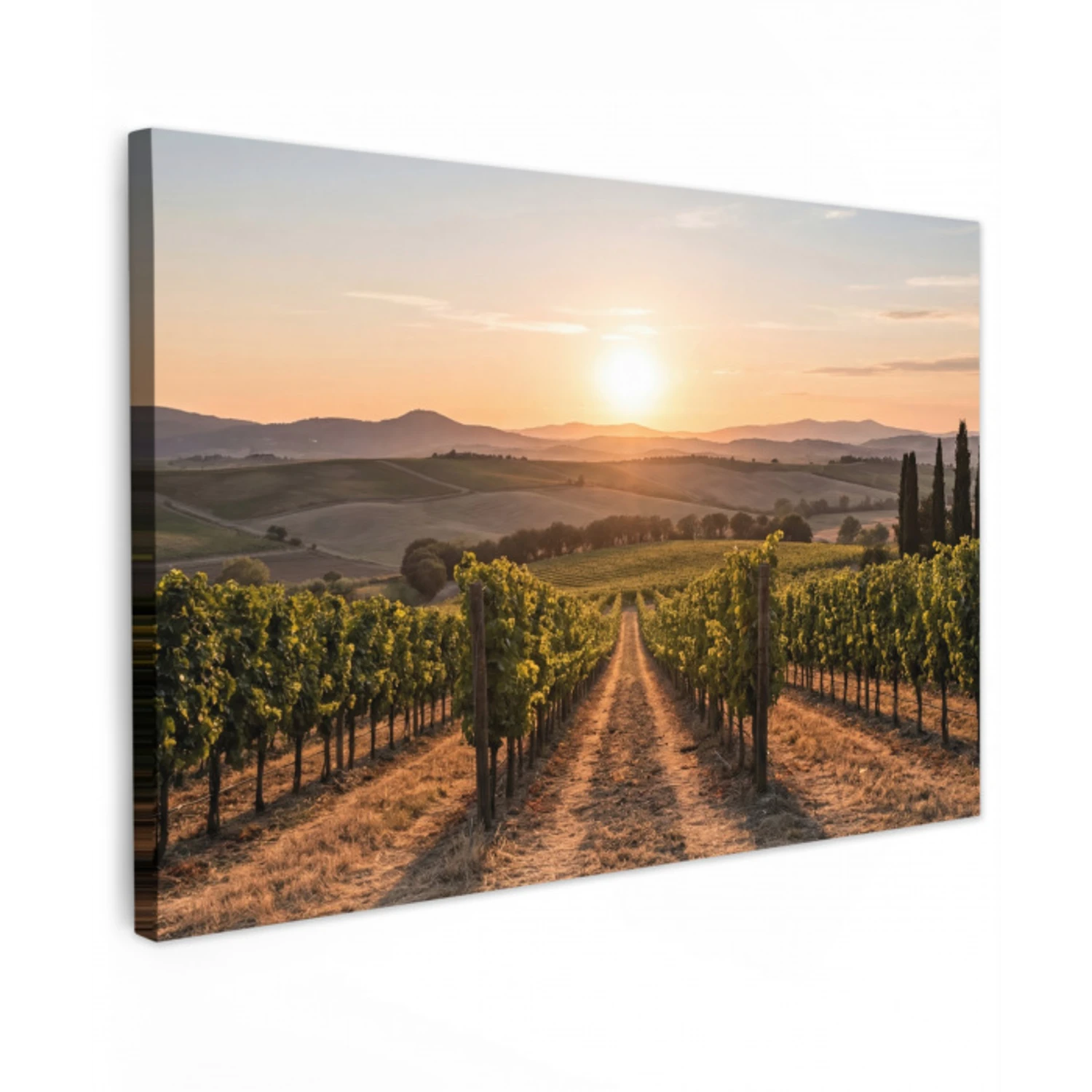 Wijngaard - Zonsondergang - Landschap Tuinposter op houten frame 2 cm dik klein -3d