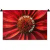 Close up - Bloem - Quote - Rood Wandkleed katoen klein -zz3d