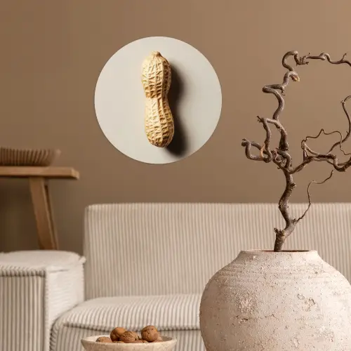 Pinda - Ruw - Beige Wandcirkel behangsticker klein -sfeer1