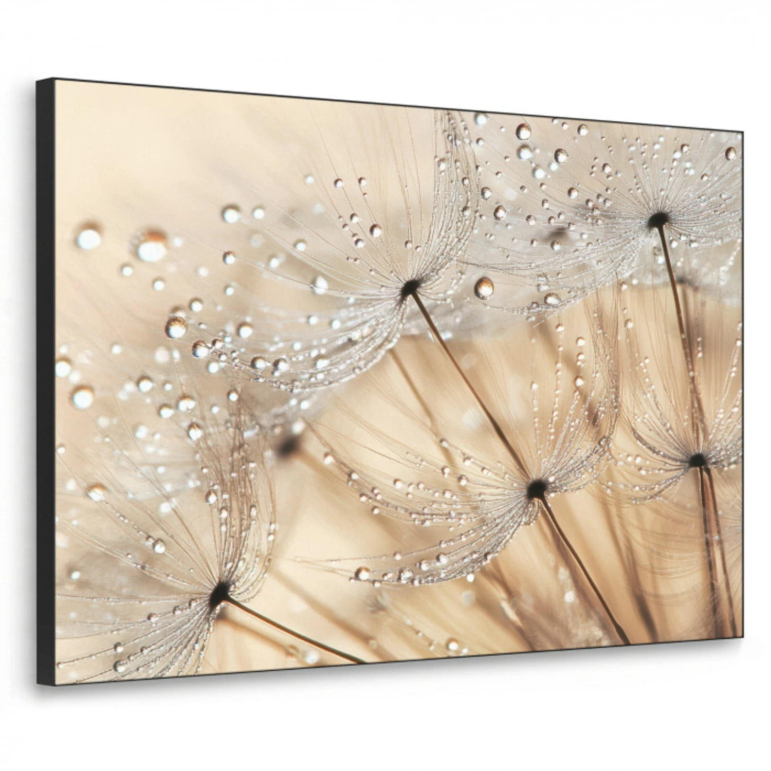 Paardenbloem - Abstract - Natuur - Beige Textielframe zwart klein -3d