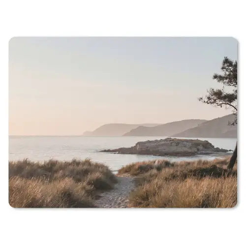 Landschap - Kust - Duinen muismat rubber klein -3d