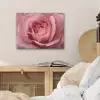 Roze - Roos - Romantisch PET vilt klein -sfeer3