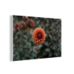 Dahlia - Bloem - Natuur - Sfeervol forex 5mm xxl -3d